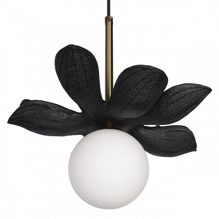 Светильник LOFT IT 10213/B Black