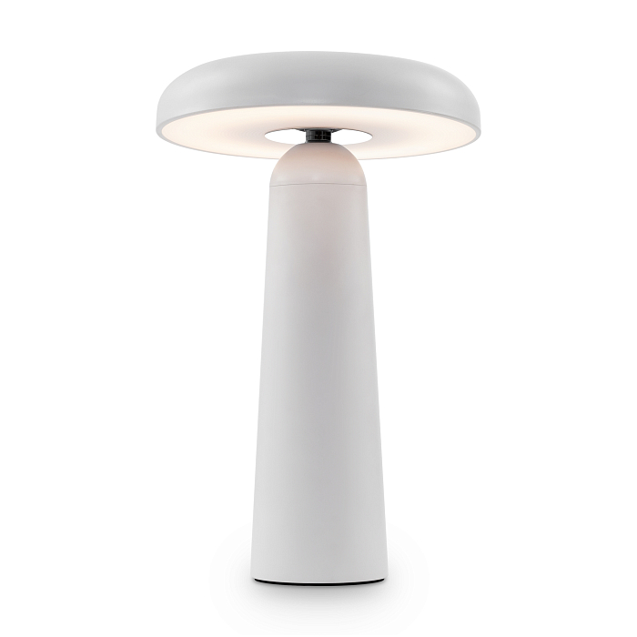 Светильник Freya FR6109TL-L4W