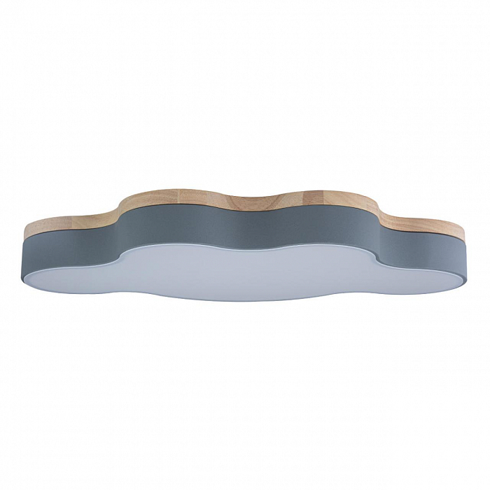 Светильник LOFT IT 10005/36 Grey