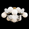 Светильник LOFT IT 10008/6C White