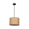 Светильник ARTE LAMP A7090SP-1BK